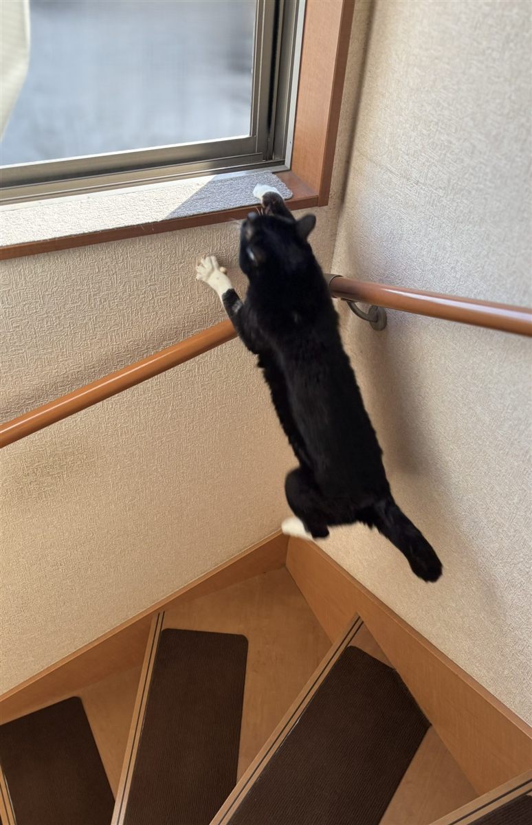 階段の途中の窓。手すりを越えて、あそこまで飛びます