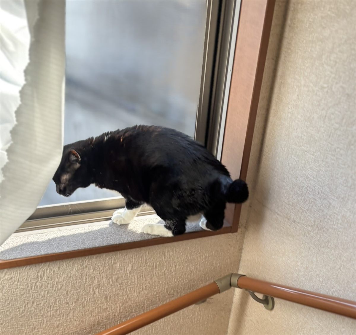着いたら、しばらく外を眺めています